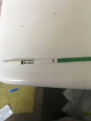 Pregnant or not