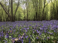 Week 4 - Leaving Lockdown Bootcamp