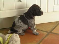 Knit, Crochet and Natter 5 - the roadmap to MORE YARN!