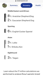 Dog DNA - any guesses?