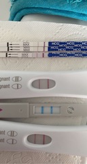 Tracking your cycle and possible BFP using RHR - part 5