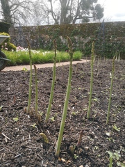 Week 4 - Leaving Lockdown Bootcamp