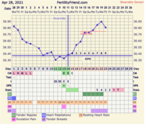9DPO Symptom Spotting