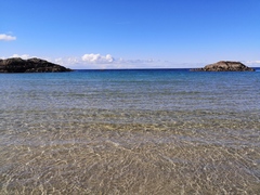 Week 3 - Leaving Lockdown Bootcamp