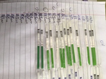 Clearblue ovulation