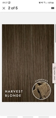 To ask if this hair colour is blonde or brunette?