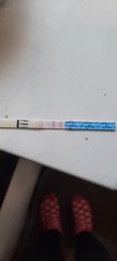 Explain ovulation to me please?!!