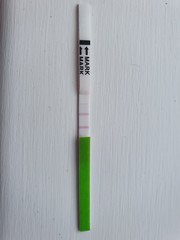 Positive opk?