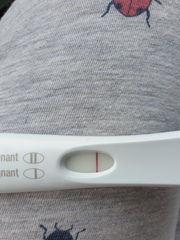 9dpo BBT chart