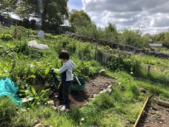 One project a day- 2nd thread!