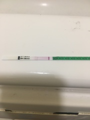Pregnant or not