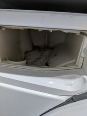 Apparently I'm a slattern and also can my washing machine be saved?