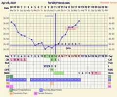 9DPO Symptom Spotting