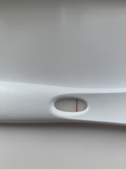 Pregnant again 9 weeks postpartum!?!?