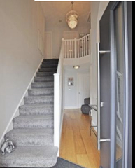 Renovation Luxuries