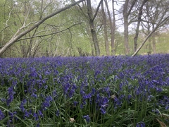 Week 4 - Leaving Lockdown Bootcamp