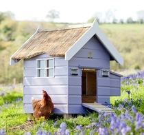 If you were painting a garden office which of these 2 Farrow and Ball colours would you choose.?