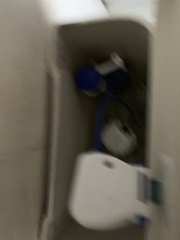 Any ideas on this toilet flush?