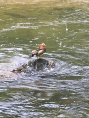 Any Witches Here? Part 14.