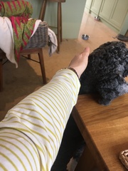 What are you wearing today? May 2021