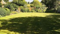 Big garden vs. large public green space (woods + playing field) on doorstep