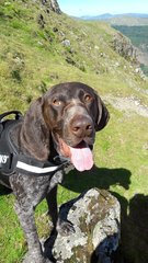 Knit, Crochet and Natter 5 - the roadmap to MORE YARN!