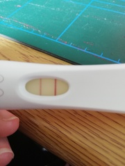 5 weeks 2 days - slow increasing hcg, low bbt