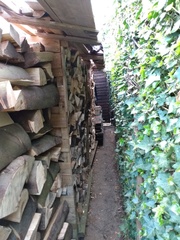 Neighbour misusing access pathway - what to do?