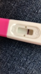 Pregnancy test