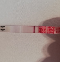 Bfp 11dpo - possible chemical 13dpo