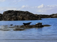 Week 3 - Leaving Lockdown Bootcamp