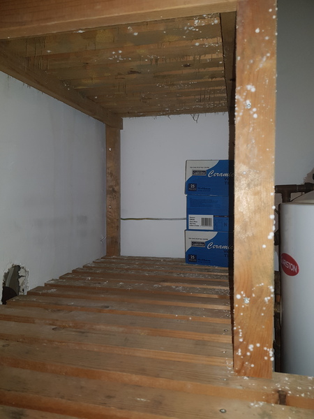 Mould- where to start?