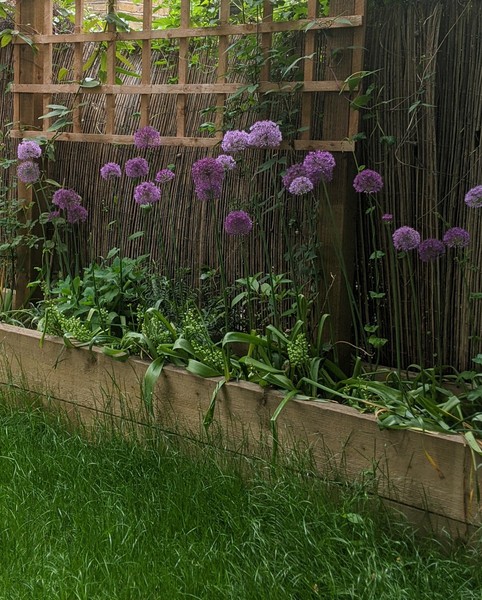 Week 8 - Leaving Lockdown Low Carb Bootcamp