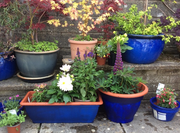 Week 8 - Leaving Lockdown Low Carb Bootcamp