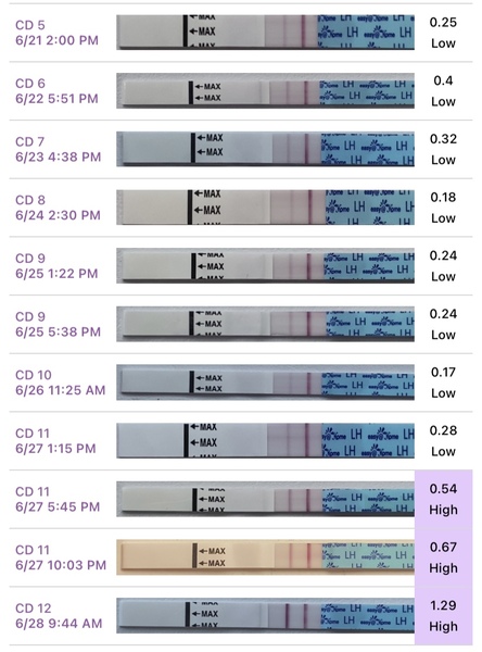 PreMom app - why high but no peak? (Photo included)