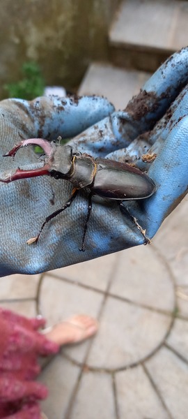 Nature appreciation thread