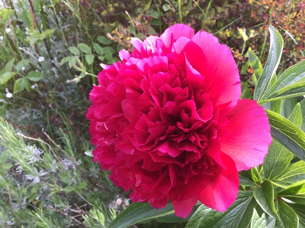 Any Witches Here? Part 14.