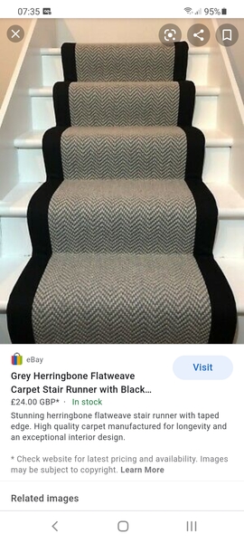 raspberry carpet: massive mistake? (Pic)