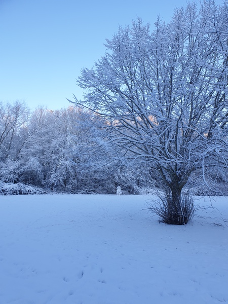 Nature appreciation thread
