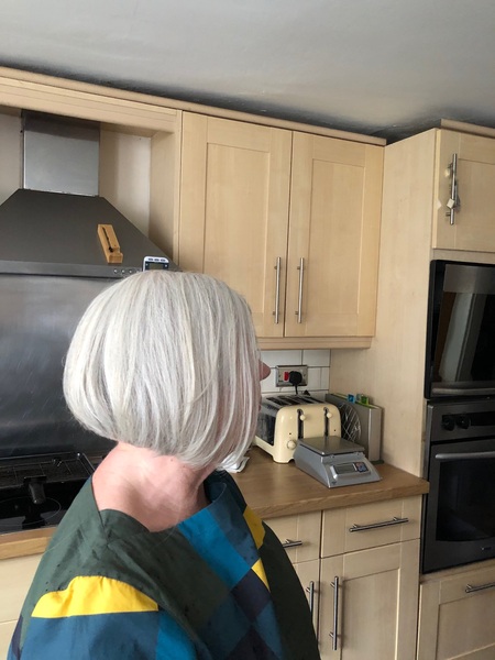 How did you transition to grey hair