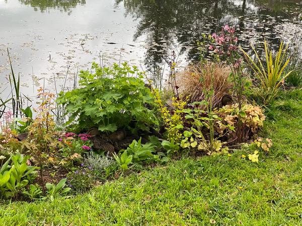 Duck Tales! (Still not what I expected to wake up to this morning)