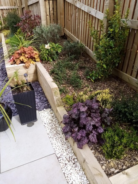 Planted mix of ericaceous and non ericaceous plants - help? New build!