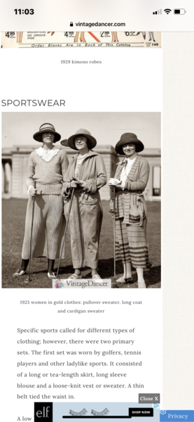 1920s themed party - could I wear this?