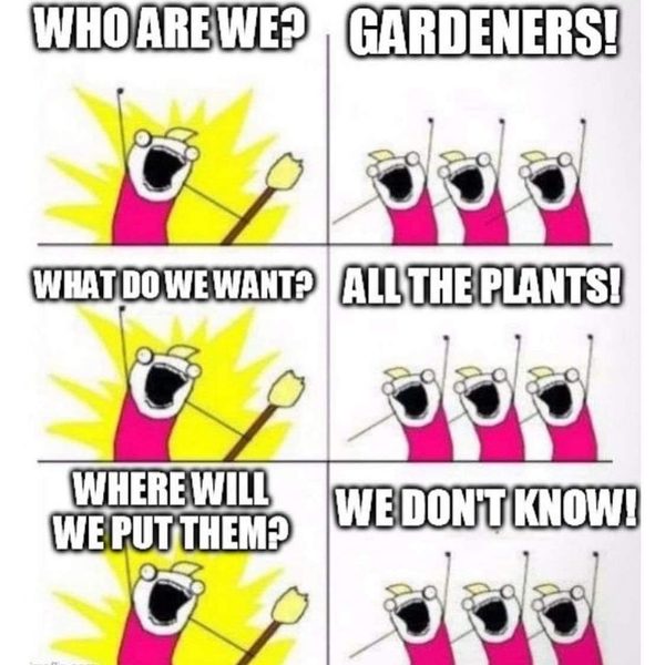 My name is Rosebush and I’m a plant hoarder...anyone else?