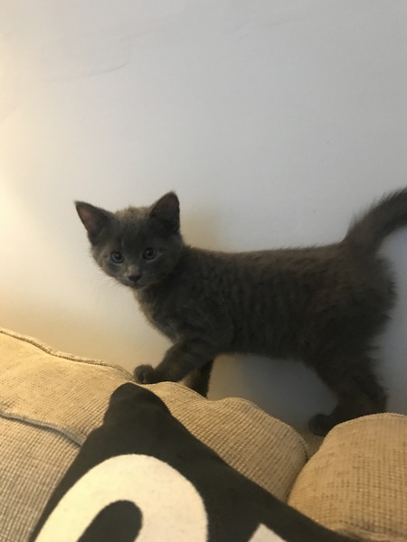 Good News 14: Keeping our spirits up, just a bit longer.