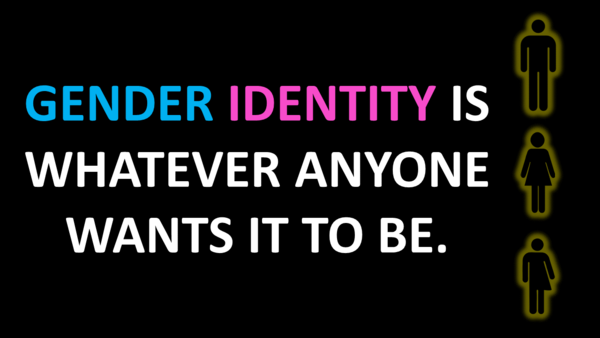 If you can't get your head around WTF "Gender Identity" is about, try this:
