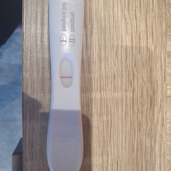 Toot toot, it's the July 2021 TTC Bus arriving early