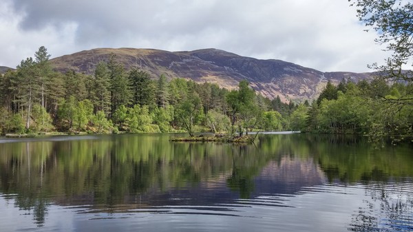 Nature appreciation thread