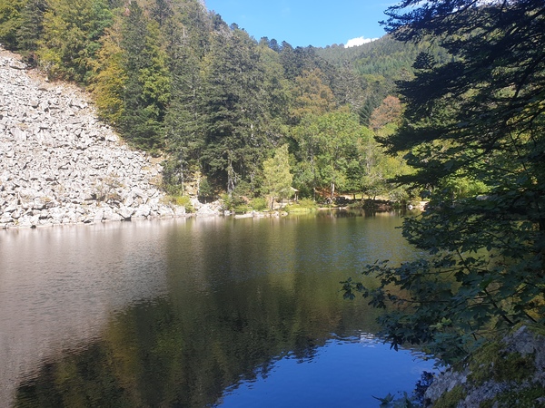 Nature appreciation thread