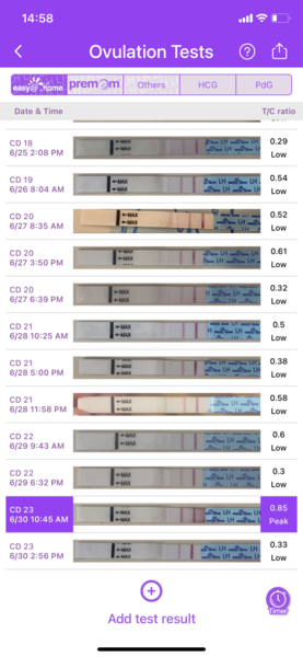 🧙Witch day did I ovulate?!🧙